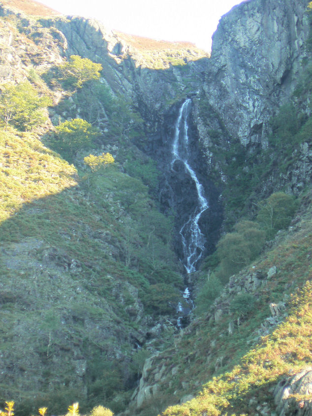 Birker Force Birker Force